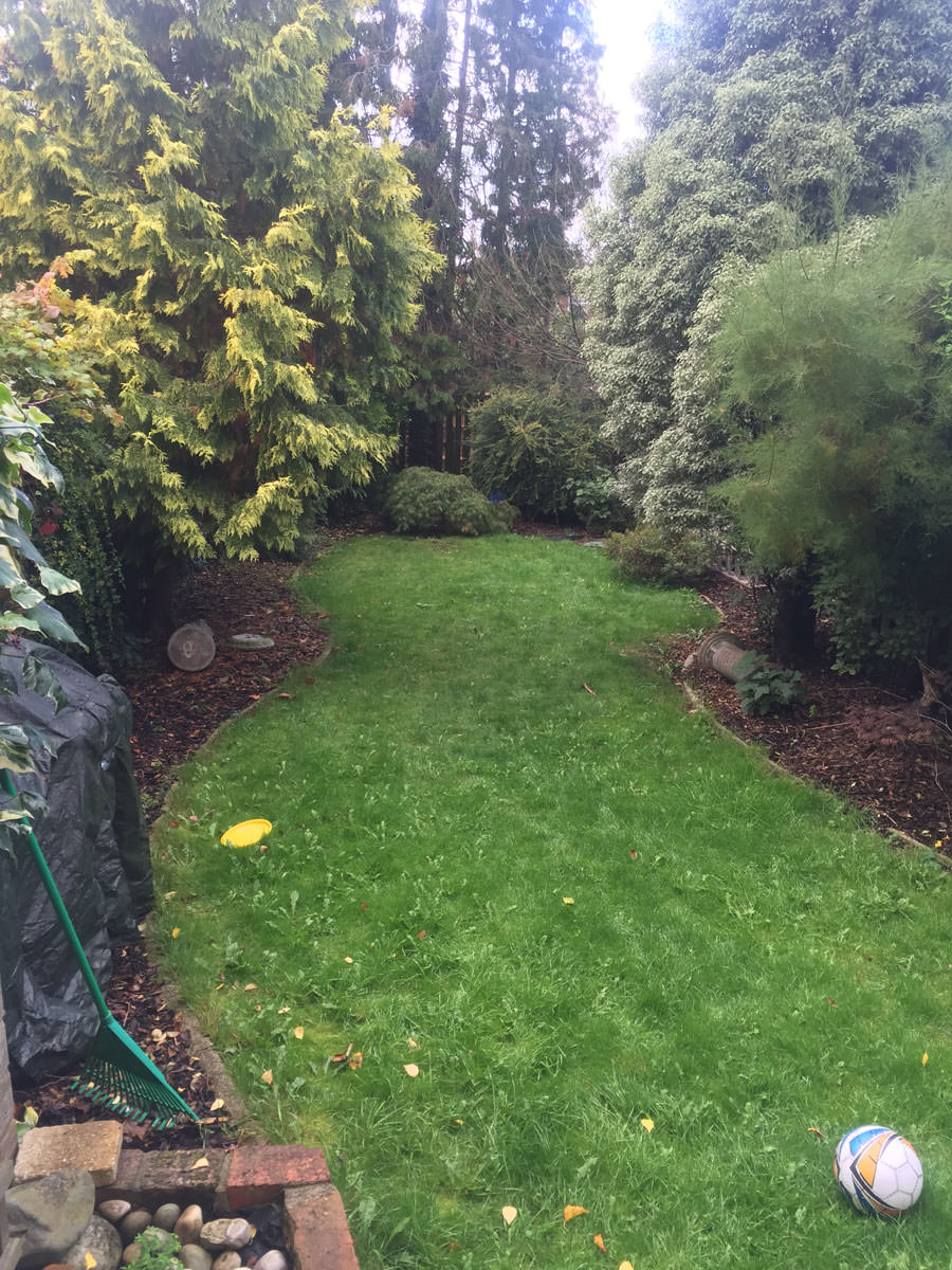 0558 rear garden in surbiton house