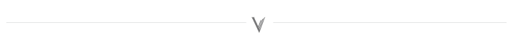 Vorbild-architecture-logo