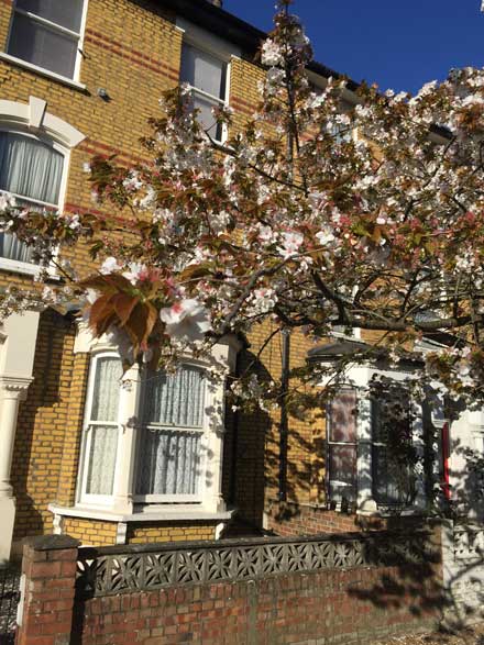 0467-rear-extension-in-finsbury-park-vorbild-architecture-02