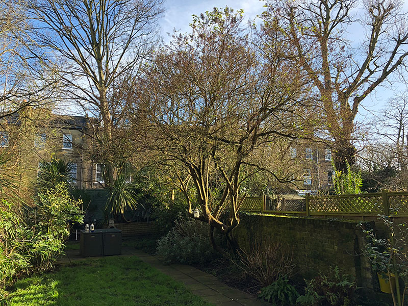 0860 Queen's Park Apartment, NW6