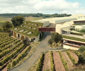 02556 Vineyard redevelopment, Portugal